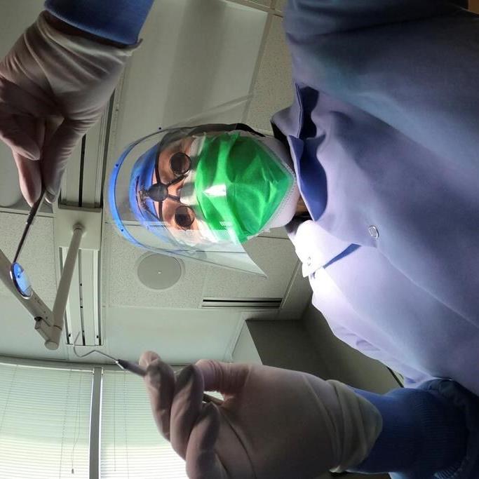 New dental benefit vulnerable to fraud without verification measures: PBO